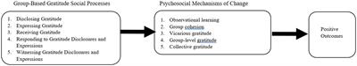 Stronger together: perspectives on gratitude social processes in group interventions for adolescents